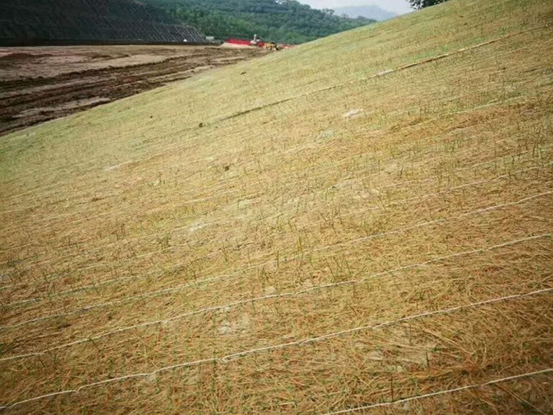 工程案例