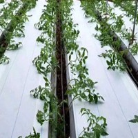 白色打孔防草布