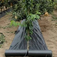 防草布